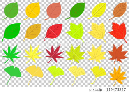 Colorful autumn leaves set Colorful autumn leaves set 119473257