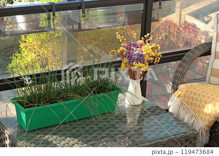 Wicker patio furniture and dry flowers in vase on sunny autumn day in backyard. Garden furniture for relaxing. Wicker patio furniture and dry flowers in vase on sunny autumn day in backyard. Garden furniture for relaxing. 119473684