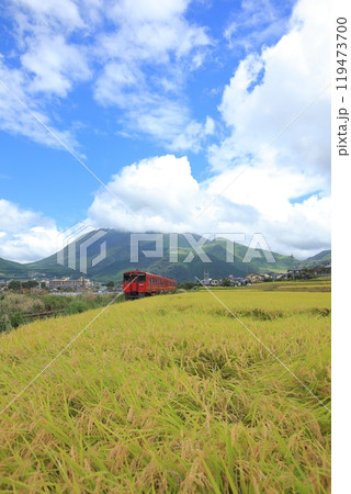 ローカル線・キハ200系気動車・200DCと実った稲の風景と青空 119473700