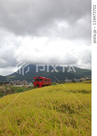 ローカル線・キハ200系気動車・220DCと実った稲の風景 ローカル線・キハ200系気動車・220DCと実った稲の風景 119473702