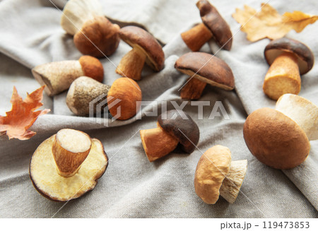 A variety of mushrooms arranged on a soft gray fabric with autumn leaves 119473853