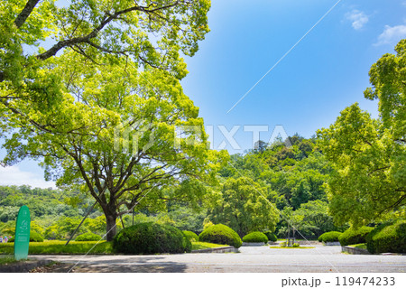 宝ヶ池公園　北園 119474233
