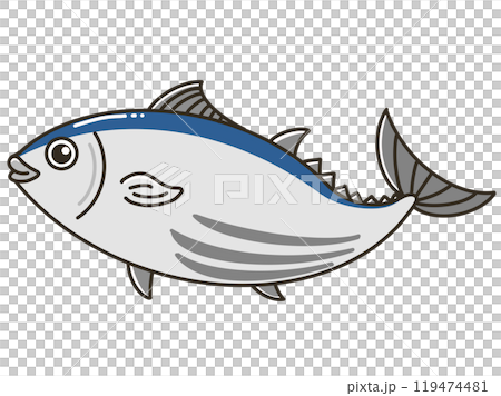 新鮮なカツオのゆるかわイラスト 119474481
