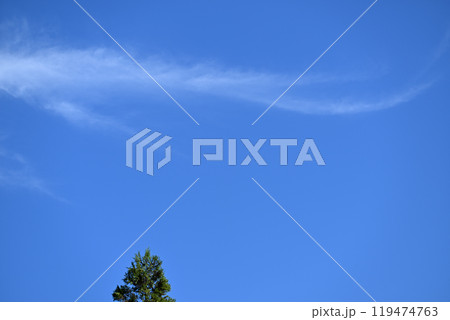 秋空と雲 秋空と雲 119474763