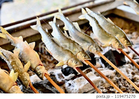 鮎の塩焼き、アユの塩焼、炭火焼、アウトドア料理、川魚料理、焼魚。 119475270