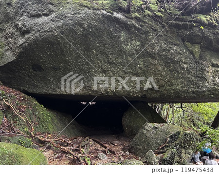 The Shiratani Unsuikyo Ravine on Yakushima is a lush nature park containing several ancient cedars, Yakushima is a World Heritage Site island located in Kagoshima Prefecture, Kyushu, Japan 119475438