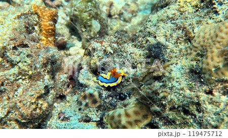 Mabul Island, the base for diving in Sipadan Island, Sabah state in Malaysia. Mabul Island, the base for diving in Sipadan Island, Sabah state in Malaysia. 119475712
