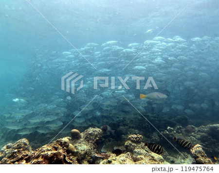 Mabul Island, the base for diving in Sipadan Island, Sabah state in Malaysia. Mabul Island, the base for diving in Sipadan Island, Sabah state in Malaysia. 119475764
