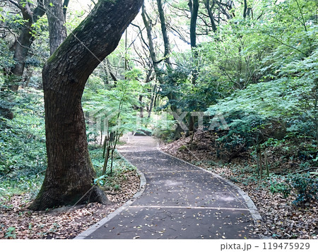 延命の名を拝する公園の散策路 119475929