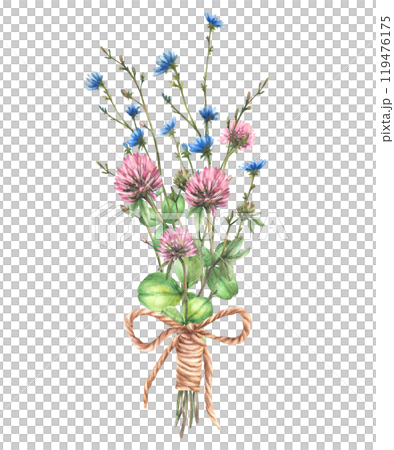 Wildflower lovely bouquet tied with a cord Field pink clover, blue chicory flowers and buds, meadow herbs. Cute Bunch of summer gift Watercolor hand drawn illustration Clipart Isolated from background 119476175