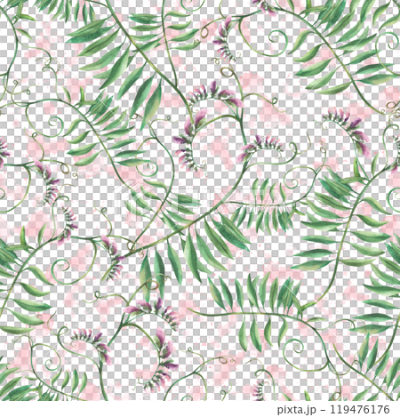 Wildflowers climbing twig mouse pea seamless pattern. Lilac purple flowers, buds and leaves on watercolor pink stains splashes background Hand drawn illustration Summer fabric isolated from background 119476176