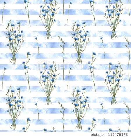 Wildflower Blue chicory flowers seamless pattern. Herbs and buds on watercolor stripes splashes stroke background. Summer fabric design Watercolor hand drawn illustration on isolated white background 119476178