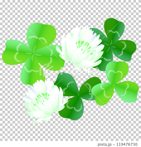 四つ葉、三つ葉、シロツメクサのイラスト素材 四つ葉、三つ葉、シロツメクサのイラスト素材 119476730