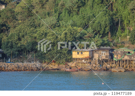Oct 12 2024 Discovering the Beauty of O Tsai in Hong Kong 119477189