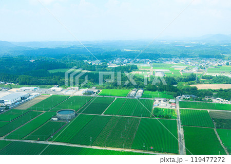 飛行機の窓からの景色 飛行機の窓からの景色 119477272