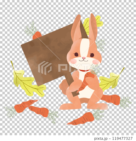 森で看板を持っているウサギと人参 119477327