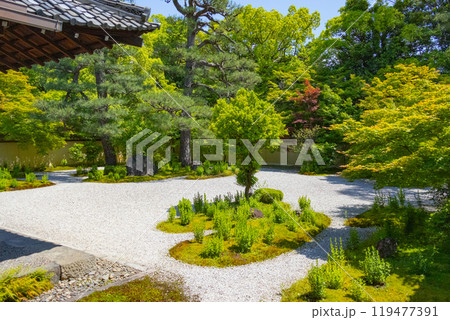紫式部 邸宅跡 廬山寺 本堂から見た源氏庭 紫式部 邸宅跡 廬山寺 本堂から見た源氏庭 119477391