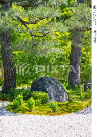 紫式部　邸宅跡　廬山寺　本堂から見た源氏庭 119477396