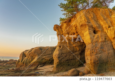 本山岬　くぐり岩　奇岩 119477663