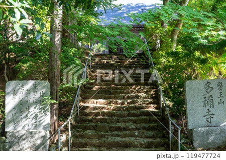 医王山　多祢寺 119477724