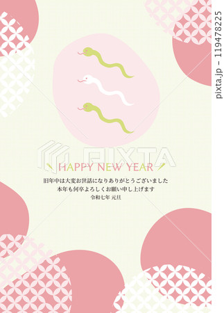 2025年の巳年のミと蛇をモチーフにしたイラストの年賀状はがき素材 2025年の巳年のミと蛇をモチーフにしたイラストの年賀状はがき素材 119478225