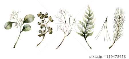 Coniferous and Seeded Eucalyptus branches. Set of eucalyptus, pine, cedar, fir branches and needles. Watercolor floral isolated illustration for Christmas winter design, card, floral label, home decor 119478458