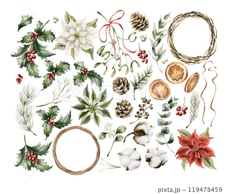 Winter florals. Set of traditional Cristmas plants. Holly berry, poinsettia flower, misletoe, eucaliptus, pine cones and branches, cotton and dry orange slices. Watercolor isolated floral illustration 119478459