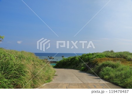 宮古ブルーの美しい海へと向かう東平安名崎の道の景色 119478487