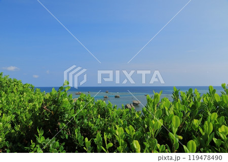 宮古島東平安名崎のトロピカルな美しい海の風景 宮古島東平安名崎のトロピカルな美しい海の風景 119478490