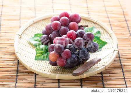 秋の味覚 ピオーネ 119479234