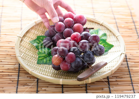 秋の味覚 ピオーネ 秋の味覚 ピオーネ 119479237