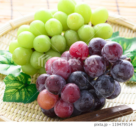 秋の味覚 シャインマスカットとピオーネ  119479514