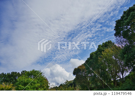 秋の風景 うろこ雲と入道雲 秋の風景 うろこ雲と入道雲 119479546