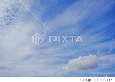 秋の空　うろこ雲 119479547