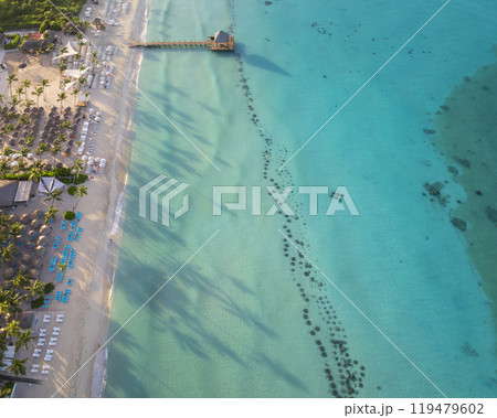 Crystal clear sea with beautiful beach in Bayahibe 119479602