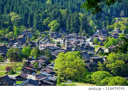 緑に囲まれた白川郷 119479745