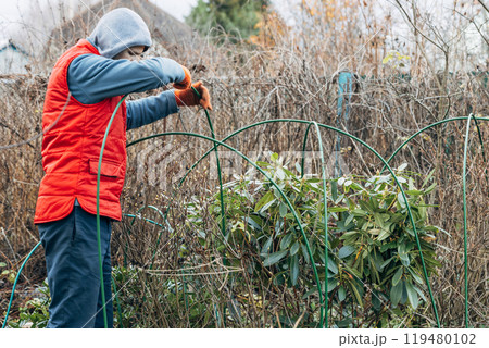 Winter Protection for Garden, winter shelter for garden plants, shelter rhododendrons 119480102