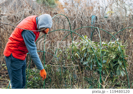 Winter Protection for Garden, winter shelter for garden plants, shelter rhododendrons 119480120