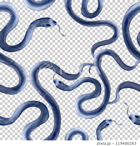 Seamless pattern of watercolor dark blue wavy snakes isolated on white. Witchcraft repeated texture of serpent hand drawn. Animal mystical monochrome print for gothic designs, textile, wallpapers. Seamless pattern of watercolor dark blue wavy snakes isolated on white. Witchcraft repeated texture of serpent hand drawn. Animal mystical monochrome print for gothic designs, textile, wallpapers. 119480265