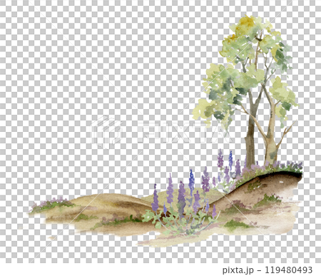 Scenery landscape of lush green foliage tree, northern forest meadow hills with bushes lupin flowers, watercolor hand drawn. Illustration for tourism maps, resort ads, hiking camping sites, vacation. Scenery landscape of lush green foliage tree, northern forest meadow hills with bushes lupin flowers, watercolor hand drawn. Illustration for tourism maps, resort ads, hiking camping sites, vacation. 119480493