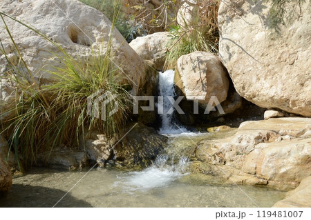 Middle East arabian scenic view. Pure brook flows in beautiful gorge En Gedy in arid Judean desert on shore of Dead Sea near Masada and Qumran Caves. Place where biblical David hid from King Saul Middle East arabian scenic view. Pure brook flows in beautiful gorge En Gedy in arid Judean desert on shore of Dead Sea near Masada and Qumran Caves. Place where biblical David hid from King Saul 119481007