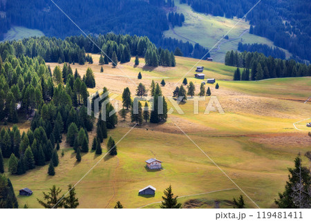 Alpe di Siusi, Italy aerial panorama, Dolomites Alpe di Siusi, Italy aerial panorama, Dolomites 119481411