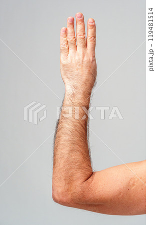 A human hand raised showing the number four against a plain background 119481514