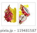 Pitaya slices, bright pink watercolor stain. Hand drawn watercolor illustration of ripe exotic dragon fruit for background, card, design 119481587