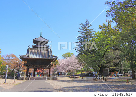 愛知県名古屋市、興正寺中門と桜の風景 119481617
