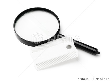 A magnifying glass and lice comb placed side by side on a clean white background 119481657