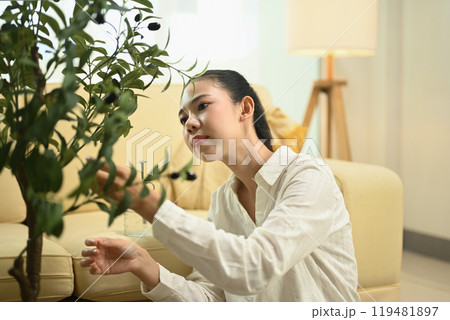 Young woman examining a potted plant in a living room. Home gardening and mindfulness concept Young woman examining a potted plant in a living room. Home gardening and mindfulness concept 119481897