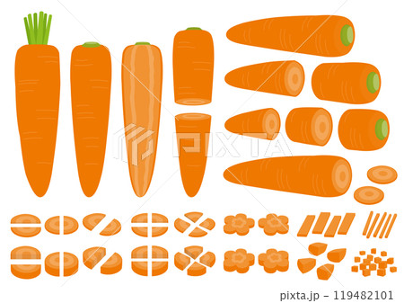 人参の全体とカットしたイラストのセット 人参の全体とカットしたイラストのセット 119482101