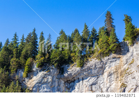 landscape of padis plateau in apuseni natural park of romania. amazing ecosystem. cetatile ponorului also called castle of miracles is the most spectacular cave in of bihor mountains landscape of padis plateau in apuseni natural park of romania. amazing ecosystem. cetatile ponorului also called castle of miracles is the most spectacular cave in of bihor mountains 119482871