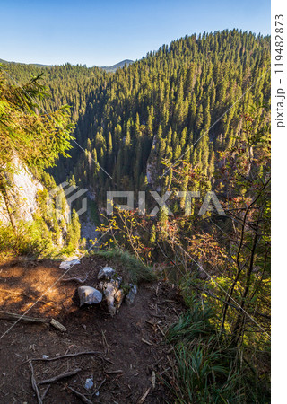 landscape of padis plateau in apuseni natural park of romania. cetatile ponorului also called castle of miracles is the most spectacular cave in of bihor mountains 119482873